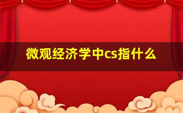 微观经济学中cs指什么