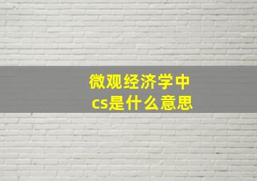 微观经济学中cs是什么意思