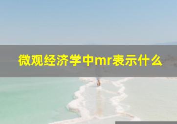 微观经济学中mr表示什么