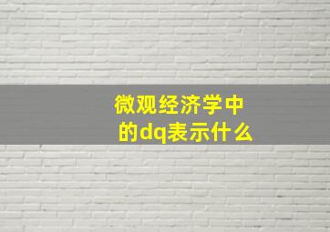 微观经济学中的dq表示什么