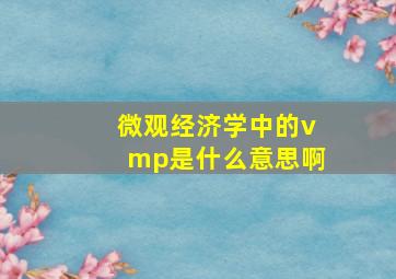 微观经济学中的vmp是什么意思啊