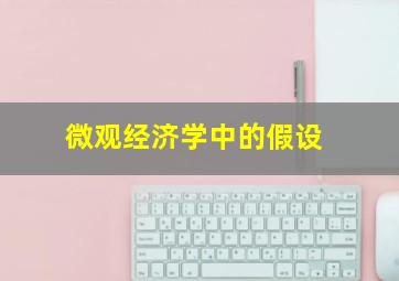 微观经济学中的假设