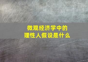 微观经济学中的理性人假设是什么