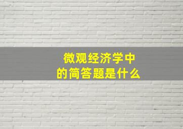 微观经济学中的简答题是什么