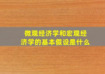 微观经济学和宏观经济学的基本假设是什么