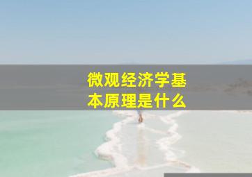 微观经济学基本原理是什么