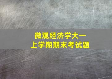 微观经济学大一上学期期末考试题