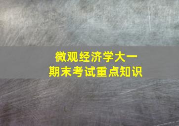 微观经济学大一期末考试重点知识