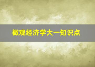 微观经济学大一知识点