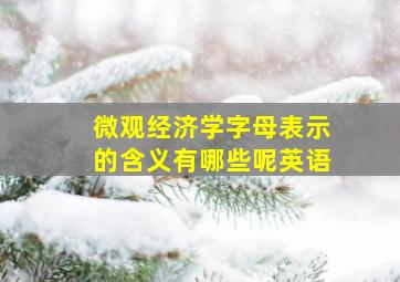 微观经济学字母表示的含义有哪些呢英语