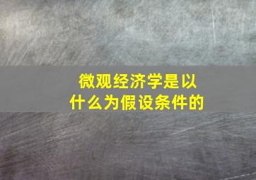 微观经济学是以什么为假设条件的