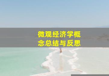 微观经济学概念总结与反思