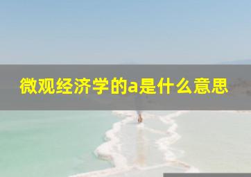 微观经济学的a是什么意思