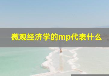 微观经济学的mp代表什么