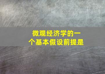 微观经济学的一个基本假设前提是