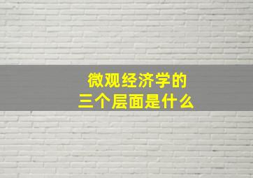 微观经济学的三个层面是什么