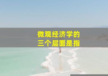 微观经济学的三个层面是指