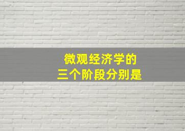 微观经济学的三个阶段分别是