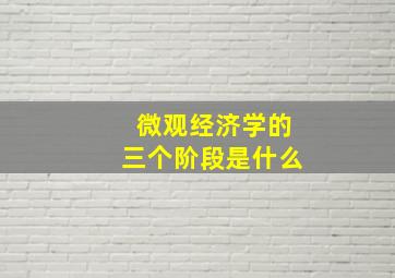 微观经济学的三个阶段是什么