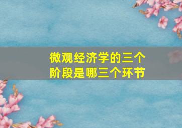 微观经济学的三个阶段是哪三个环节