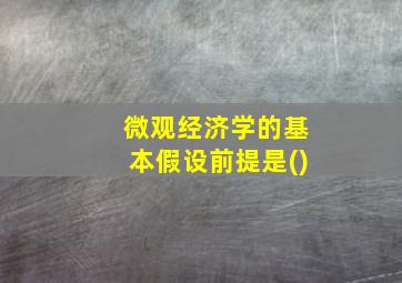 微观经济学的基本假设前提是()