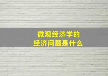 微观经济学的经济问题是什么