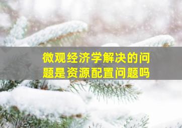 微观经济学解决的问题是资源配置问题吗