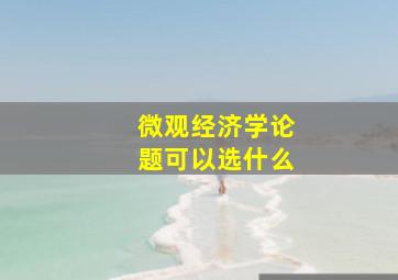 微观经济学论题可以选什么