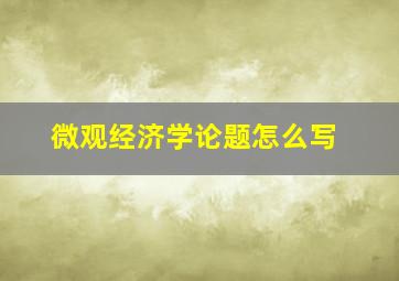 微观经济学论题怎么写