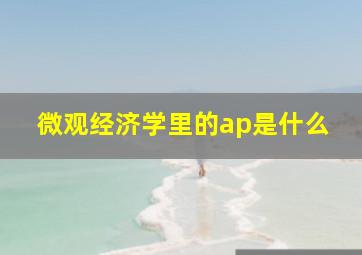 微观经济学里的ap是什么