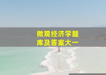 微观经济学题库及答案大一