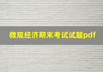 微观经济期末考试试题pdf