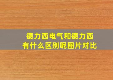 德力西电气和德力西有什么区别呢图片对比