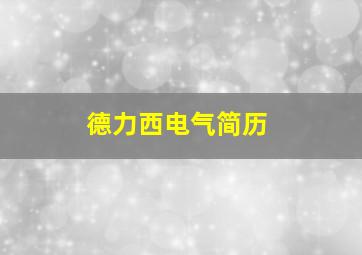 德力西电气简历