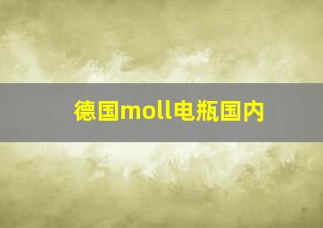 德国moll电瓶国内