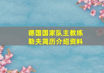 德国国家队主教练勒夫简历介绍资料