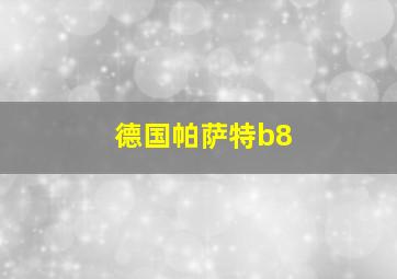 德国帕萨特b8