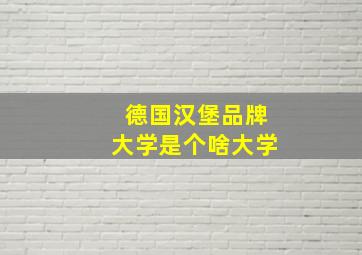 德国汉堡品牌大学是个啥大学