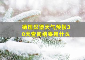 德国汉堡天气预报30天查询结果是什么