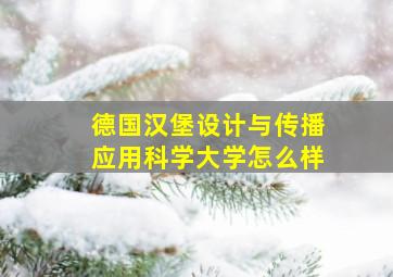 德国汉堡设计与传播应用科学大学怎么样