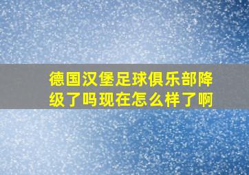 德国汉堡足球俱乐部降级了吗现在怎么样了啊