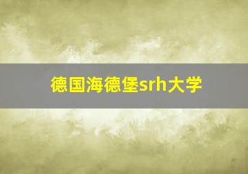 德国海德堡srh大学