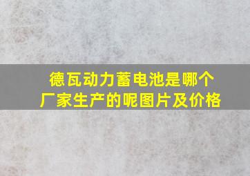 德瓦动力蓄电池是哪个厂家生产的呢图片及价格