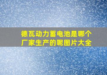 德瓦动力蓄电池是哪个厂家生产的呢图片大全