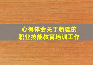 心得体会关于新疆的职业技能教育培训工作