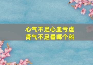 心气不足心血亏虚肾气不足看哪个科