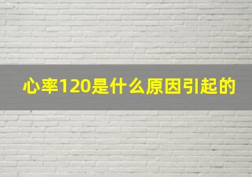 心率120是什么原因引起的