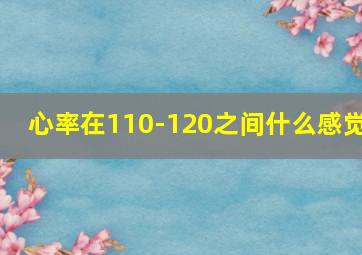 心率在110-120之间什么感觉