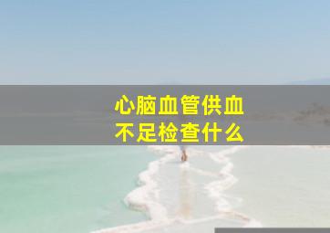 心脑血管供血不足检查什么