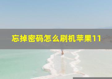 忘掉密码怎么刷机苹果11